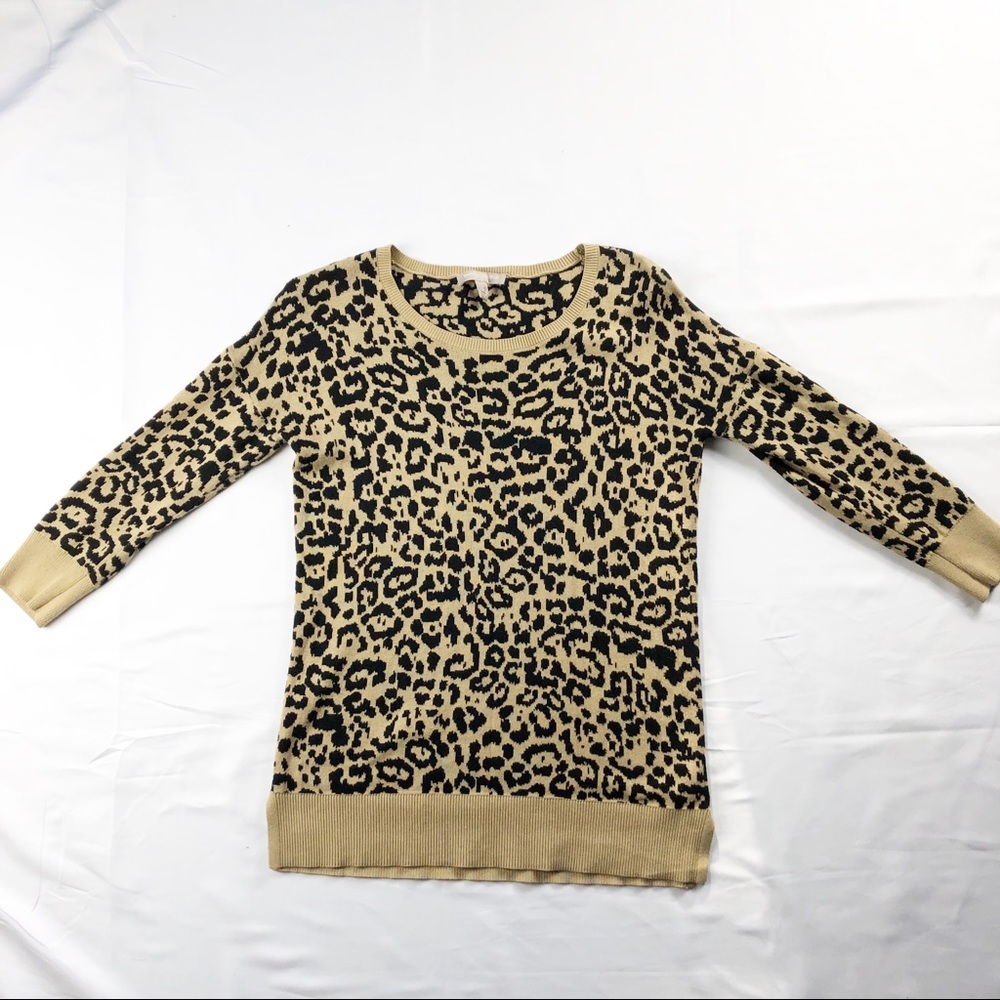 Banana Republic Cheetah Print Sweater